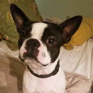 Meet your Posher, Annette